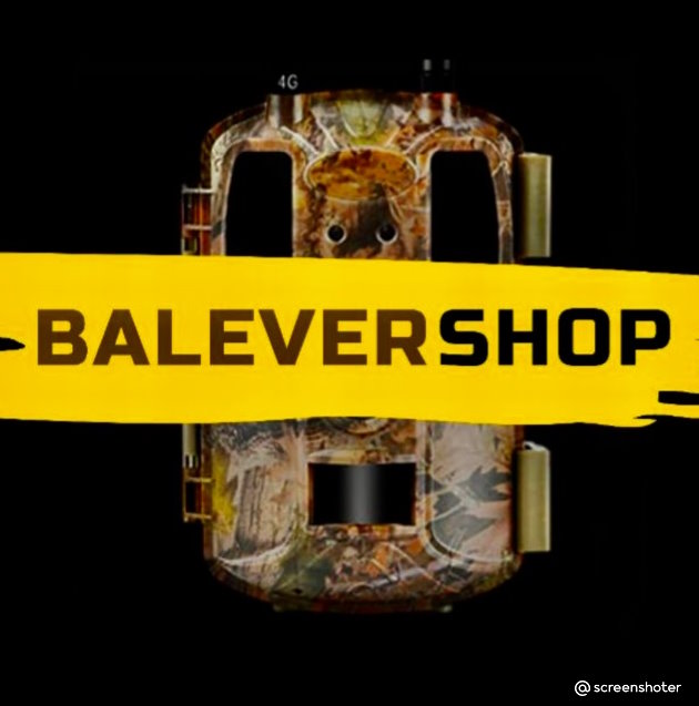 Balevercam Logo